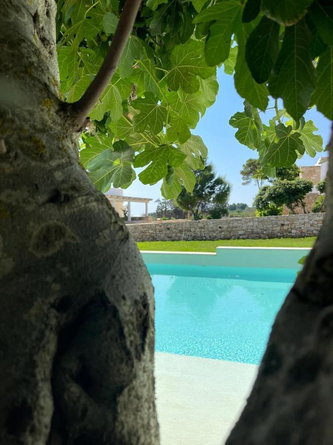 Masseria Baroni Di Montesardo Lido Marini Eksteriør bilde